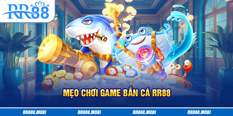 Áp dụng bắn dạng rỉa thông minh