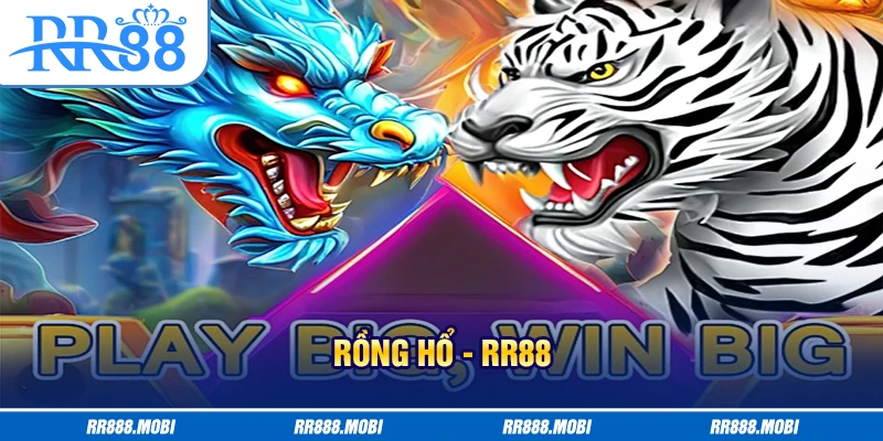 Chi tiết các tính điểm trong game Rồng Hổ