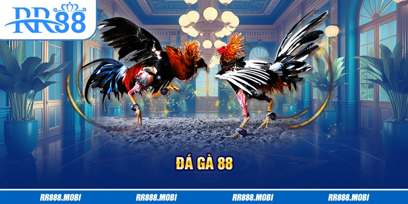 đá gà 88