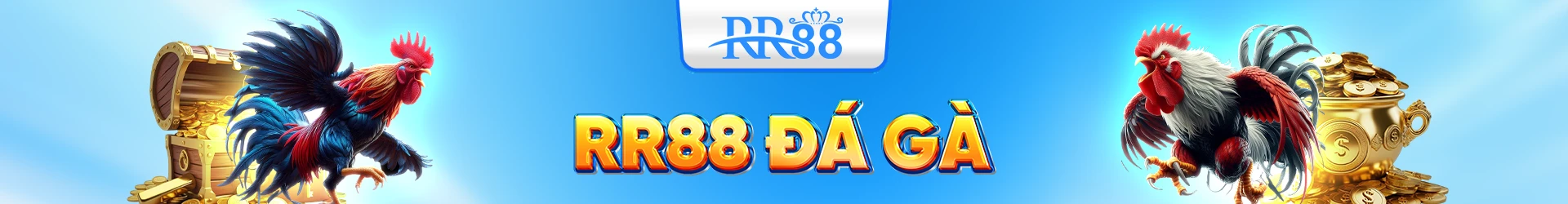 đá gà rr88