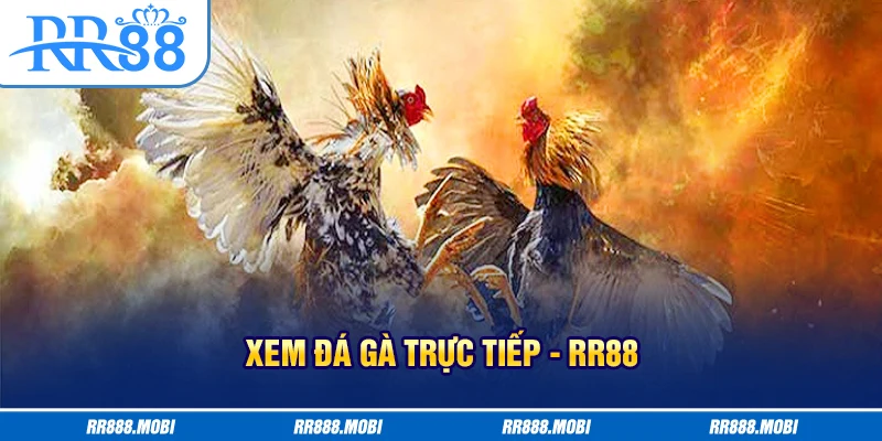 Đá gà trực tiếp tiện lợi và bảo mật