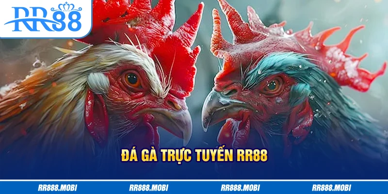 Đá gà trực tuyến cựa sắt đầy kịch tính