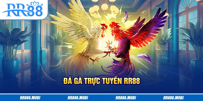 Nắm rõ các thông tin về đá gà trực tiếp