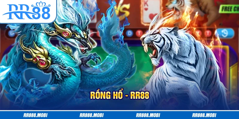rồng hổ